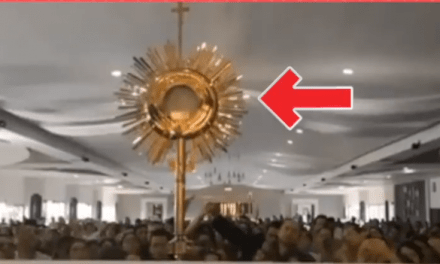 ¡Impresionante! Custodia se abre sola durante Adoración Eucarística VIDEO