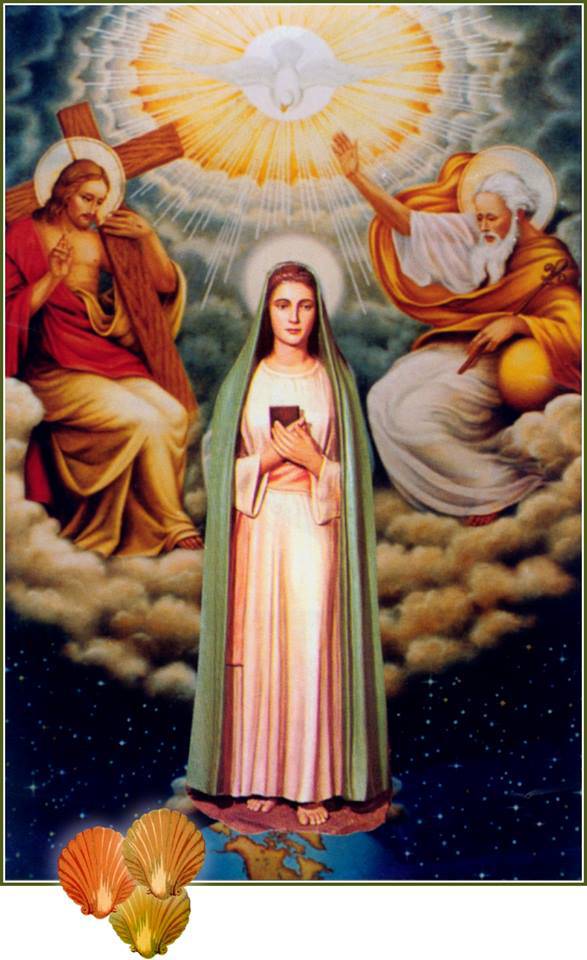 16473437_408328042839764_4408276758464705847_n La Luz de Maria