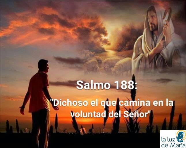 Dichoso el que camina en la voluntad del Señor