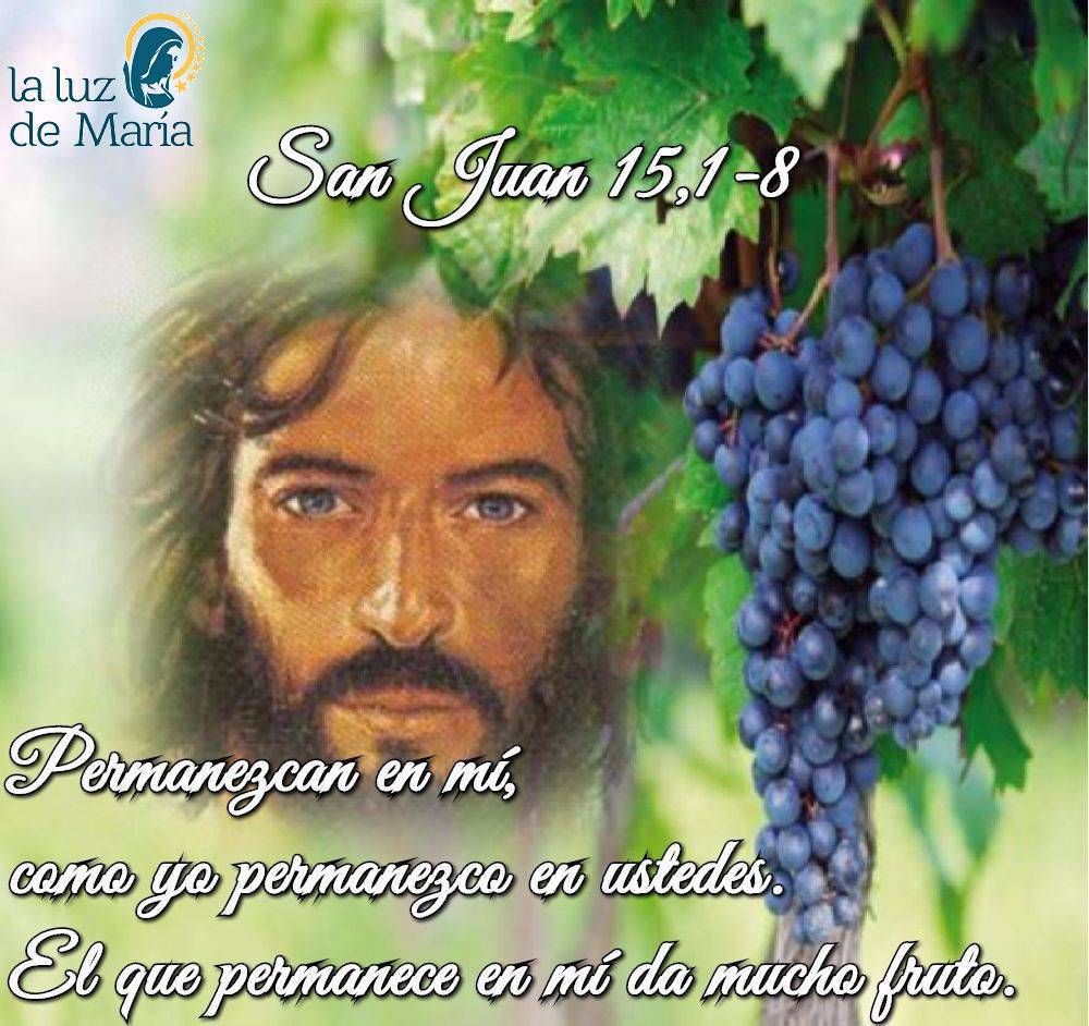 Evangelio según San Juan 15,1-8.
