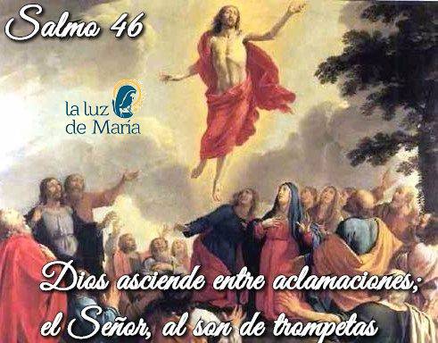 Dios asciende entre aclamaciones; el Señor, al son de trompetas