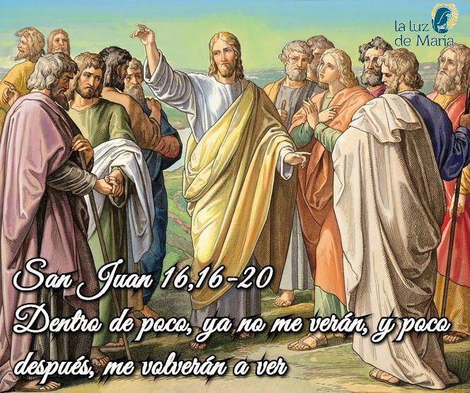 Evangelio según San Juan 16,16-20.