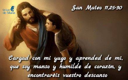 Evangelio según san Mateo (11,25-30):