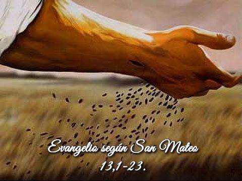 Evangelio según San Mateo 13,1-23. 