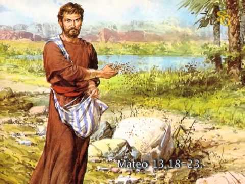 Evangelio según San Mateo 13,18-23. 