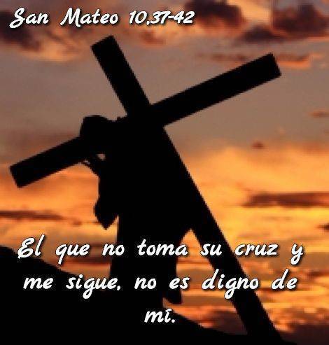 Evangelio según San Mateo 10,37-42. 