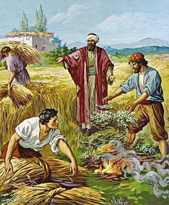 Evangelio según San Mateo 13,24-43. 