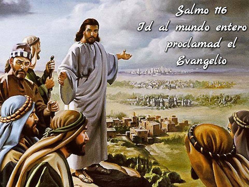 Id al mundo entero y proclamad el Evangelio