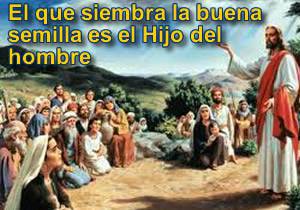 Evangelio según San Mateo 13,36-43. 