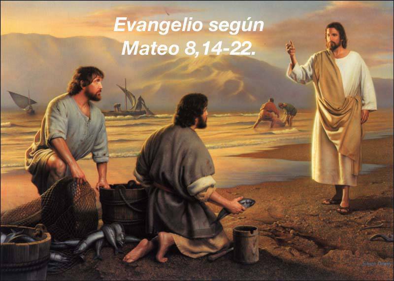 Evangelio según Mateo 8,14-22.