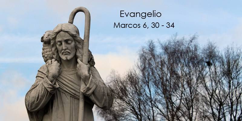 Evangelio según San Marcos 6,30-34.