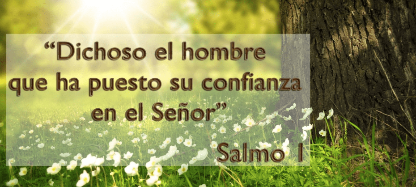  Dichoso el hombre que ha puesto su confianza en el Señor