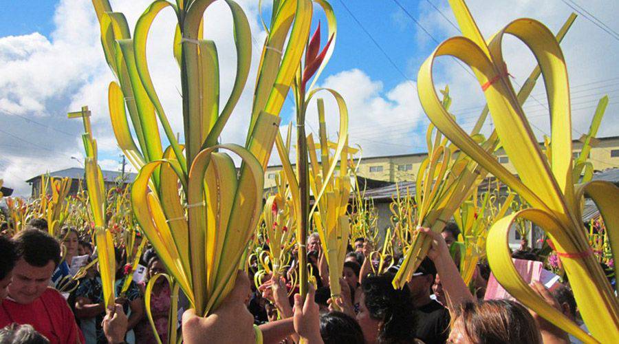 Oración para colocar en el hogar las palmas benditas del Domingo de Ramos