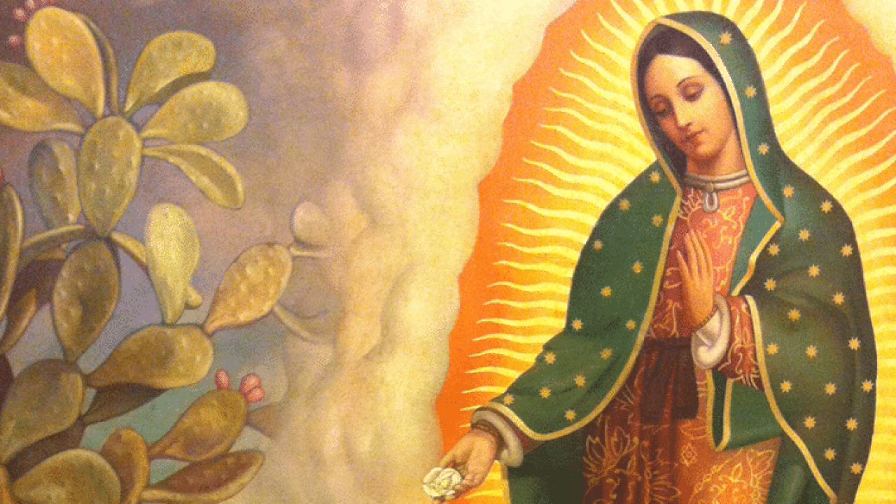 Datos curiosos sobre la Virgen de Guadalupe - La Luz de Maria