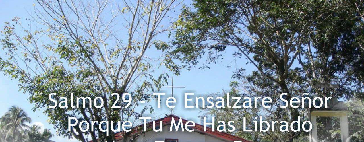 Te ensalzaré, Señor, porque me has librado
