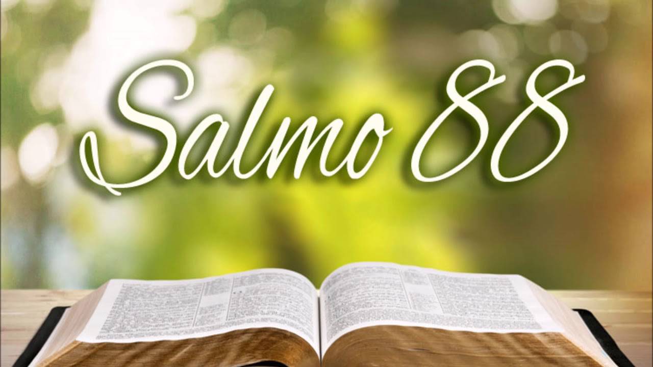 Sal 88