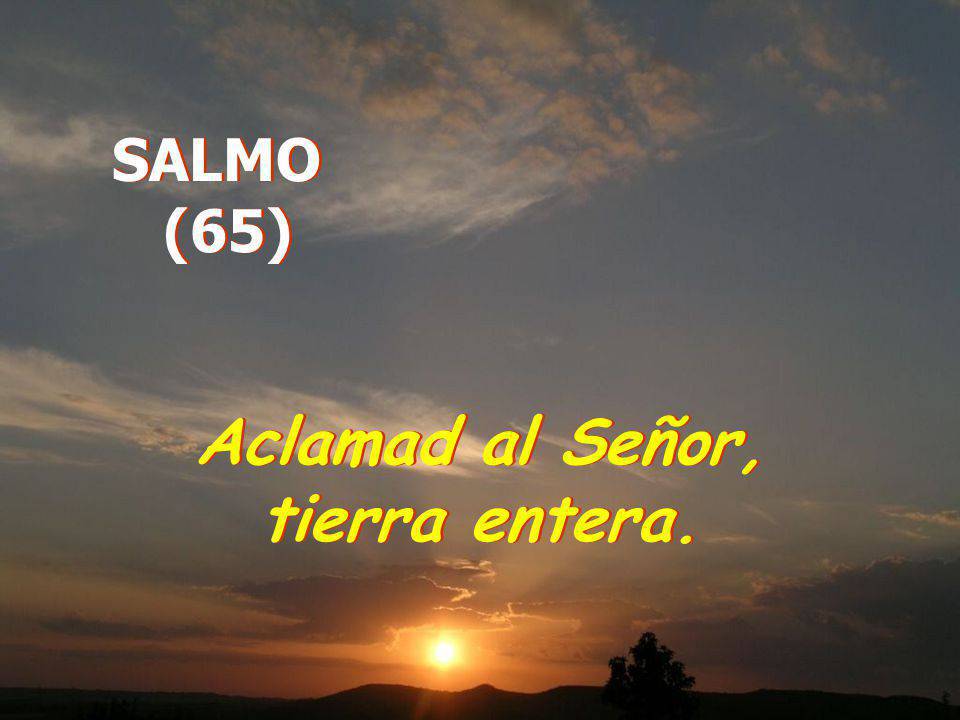 Aclamad al Señor, tierra entera