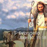 Evangelio según San Juan 10,11-18.