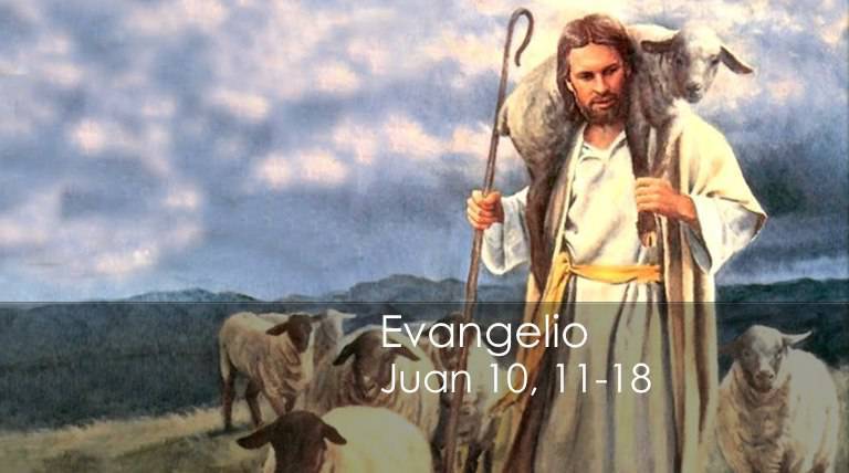 Evangelio según San Juan 10,11-18.