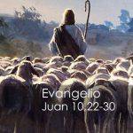 Evangelio según San Juan 10,22-30.