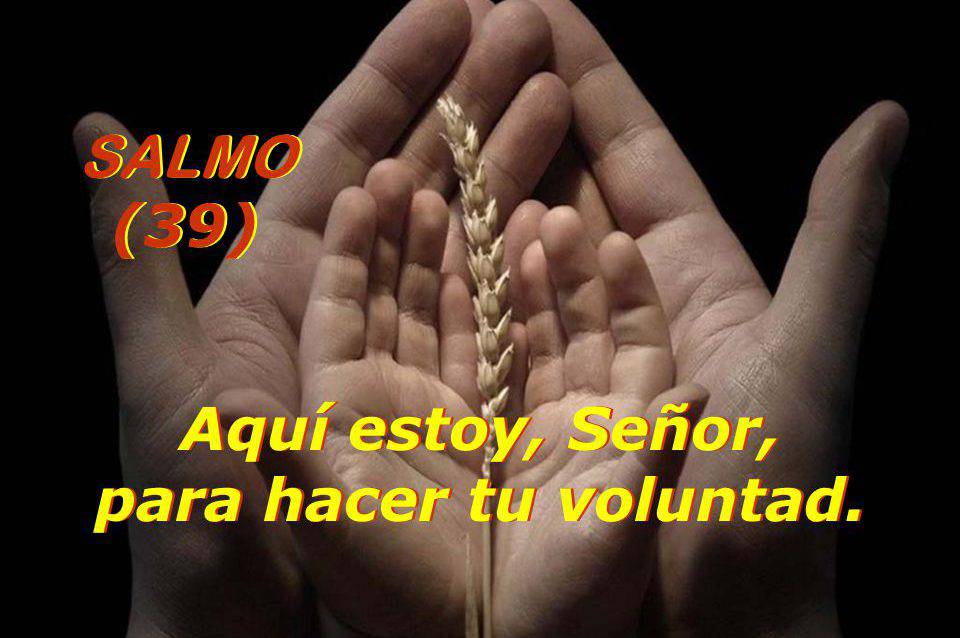 Salmo 39