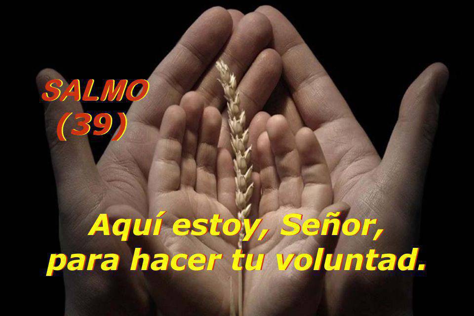 Aquí estoy, Señor, para hacer tu voluntad