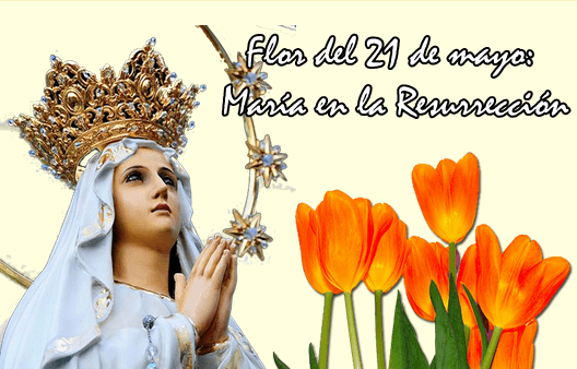 Flor del 21 de mayo: María en la Resurrección