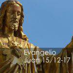Evangelio según San Juan 15,12-17.