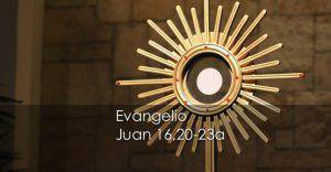 Evangelio según San Juan 16,20-23a.
