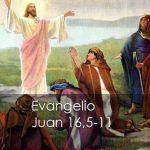 Evangelio según San Juan 16,5-11. 