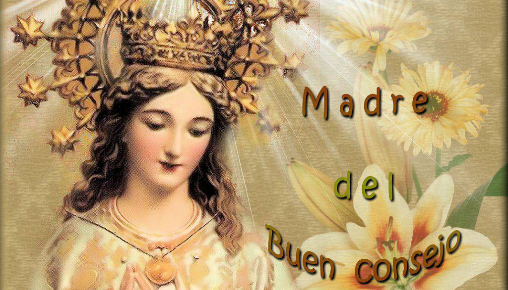 Flor del 9 de mayo: Madre del buen consejo