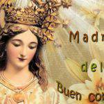 Flor del 9 de mayo: Madre del buen consejo
