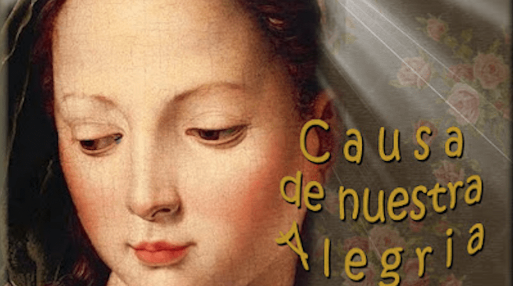 Flor del 15 de mayo: Causa de nuestra alegría