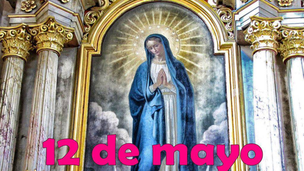 Flor del 12 de mayo: Madre del buen ejemplo