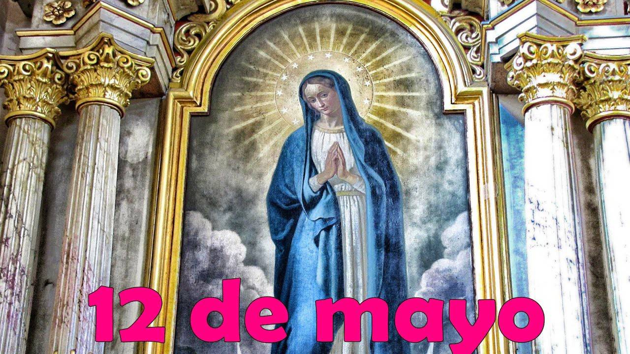 Flor del 12 de mayo: Madre del buen ejemplo