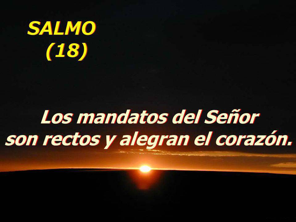 Los mandatos del Señor son rectos y alegran el corazón