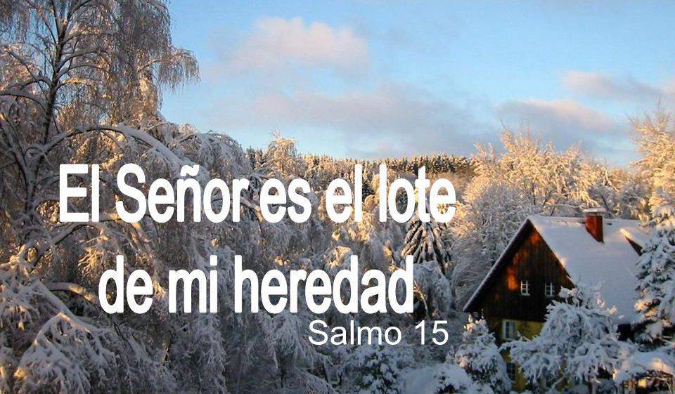 Tú, Señor, eres el lote de mi heredad