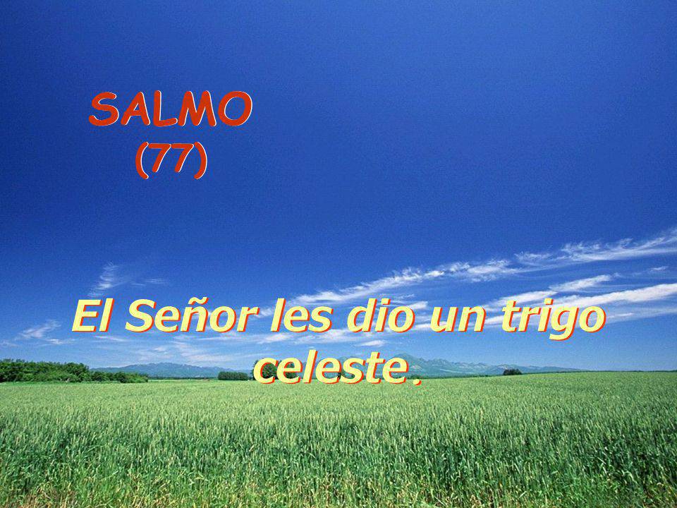 Salmo 77