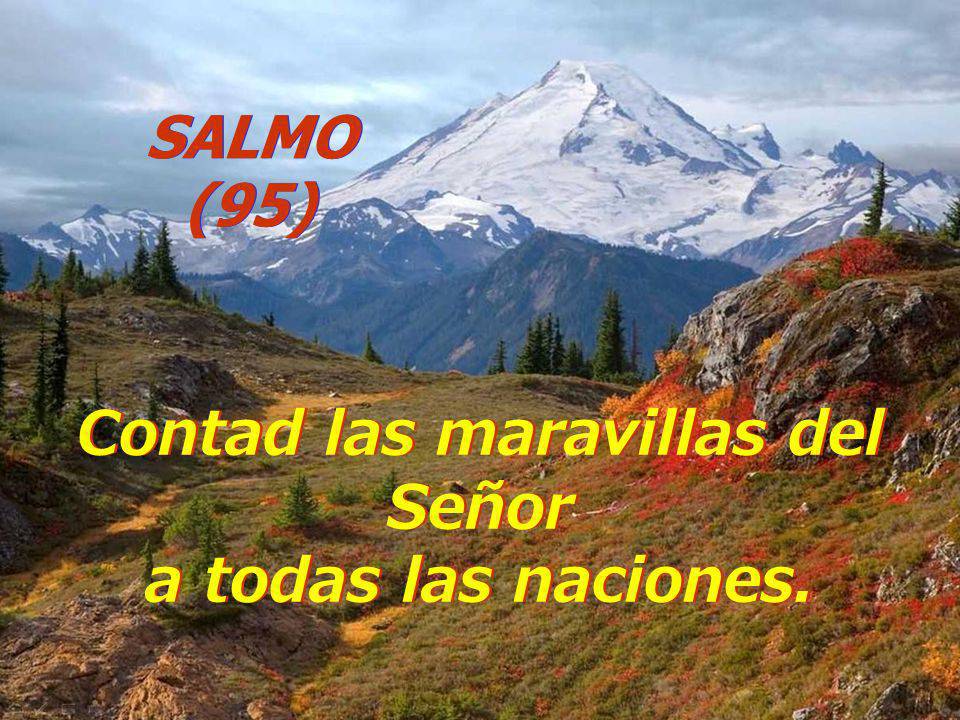 Sal 95
