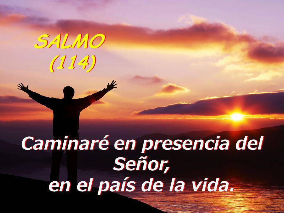 Salmo 114