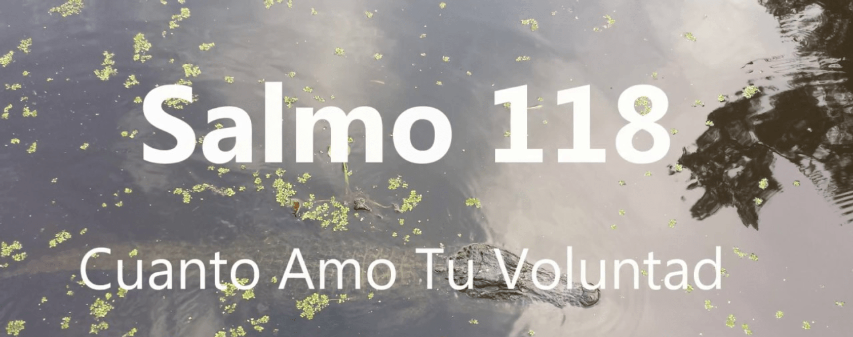 Salmo 118