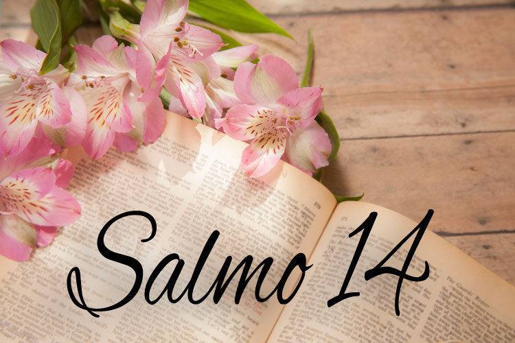 Salmo 14