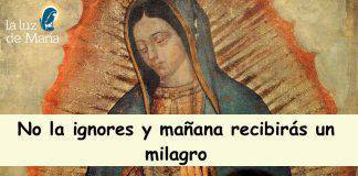 LA VIRGEN DE GUADALUPE