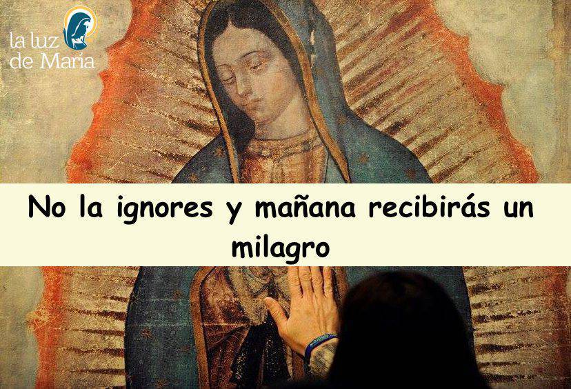 LA VIRGEN DE GUADALUPE