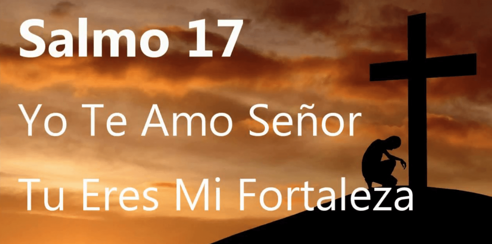 Salmo 17