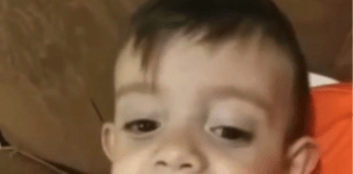 Brunito