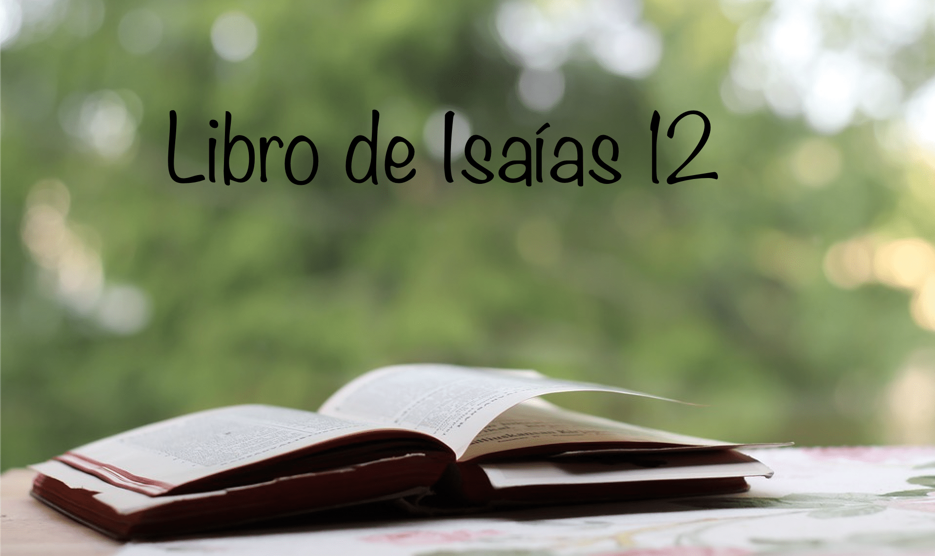 Libro de Isaías 12