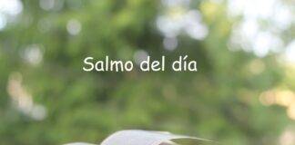 salmo del día