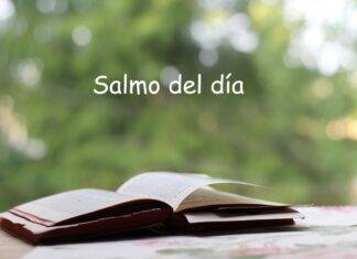 salmo del día