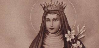 Santa Patricia